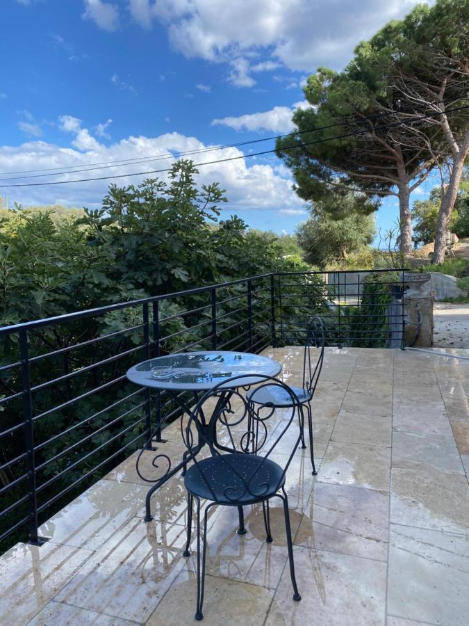 Home Sweet Home 2 Pieces 42 M2 Chambre, Salon, Cuisine, Grande Terrasse, Parking Proche Centre Ville Et Mer Бастия Екстериор снимка